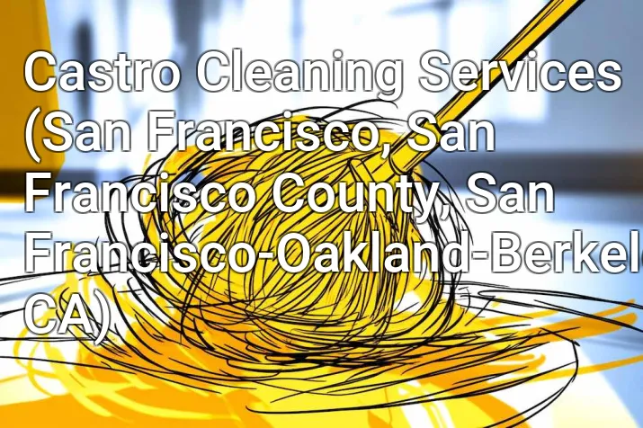 Castro Cleaning Services (San Francisco, San Francisco County, San Francisco-Oakland-Berkeley, CA)