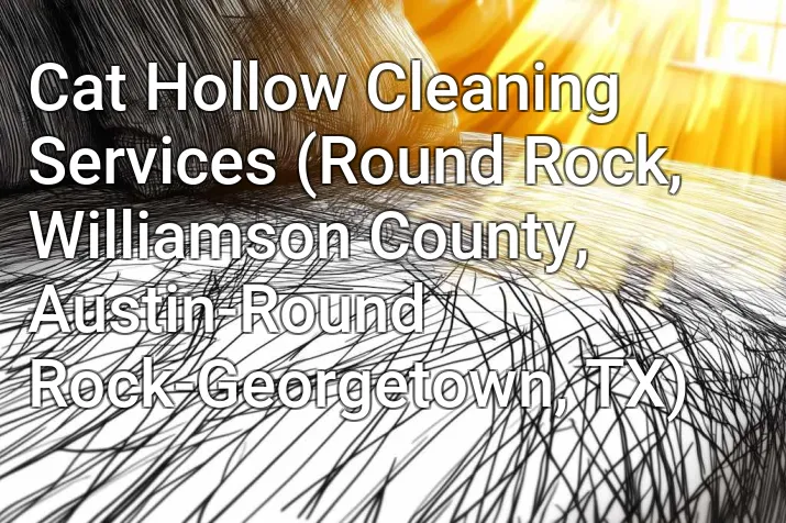 Cat Hollow Cleaning Services (Round Rock, Williamson County, Austin-Round Rock-Georgetown, TX)