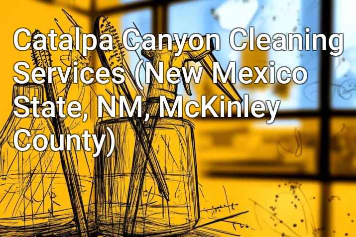 Catalpa Canyon Cleaning Services (New Mexico State, NM, McKinley County)