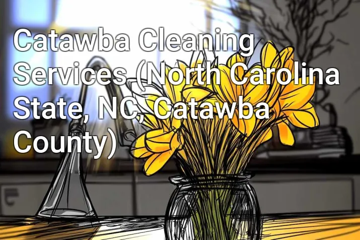 Catawba Cleaning Services (North Carolina State, NC, Catawba County)