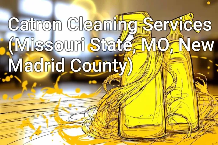 Catron Cleaning Services (Missouri State, MO, New Madrid County)