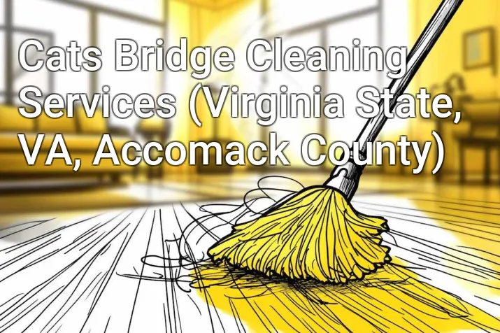 Cats Bridge Cleaning Services (Virginia State, VA, Accomack County)