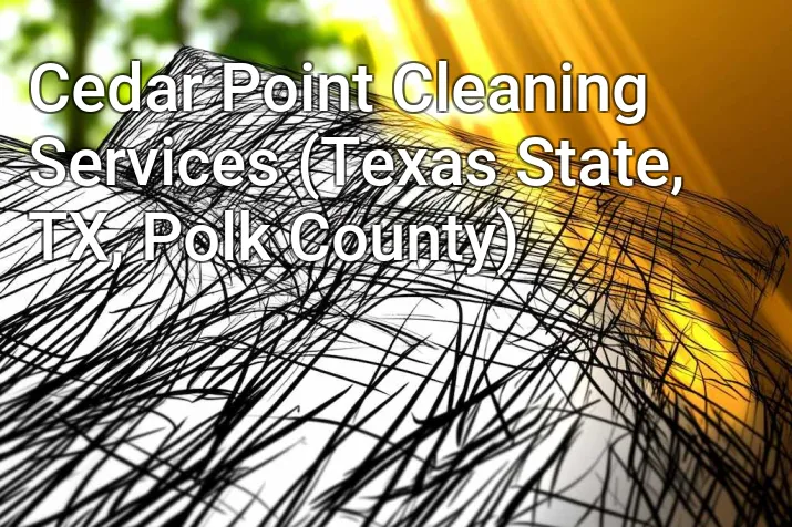 Cedar Point Cleaning Services (Texas State, TX, Polk County)