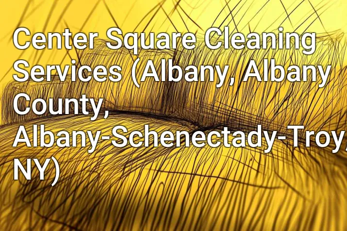 Center Square Cleaning Services (Albany, Albany County, Albany-Schenectady-Troy, NY)