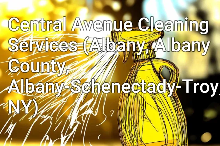 Central Avenue Cleaning Services (Albany, Albany County, Albany-Schenectady-Troy, NY)