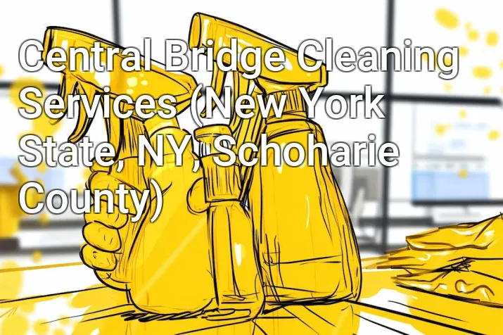 Central Bridge Cleaning Services (New York State, NY, Schoharie County)