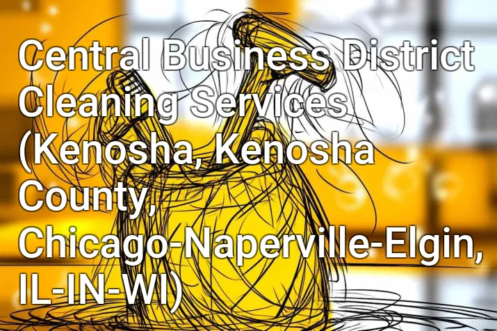 Central Business District Cleaning Services (Kenosha, Kenosha County, Chicago-Naperville-Elgin, IL-IN-WI)