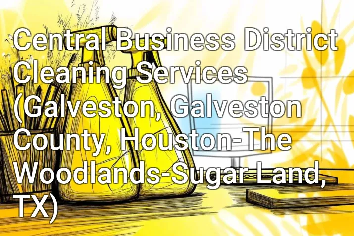 Central Business District Cleaning Services (Galveston, Galveston County, Houston-The Woodlands-Sugar Land, TX)
