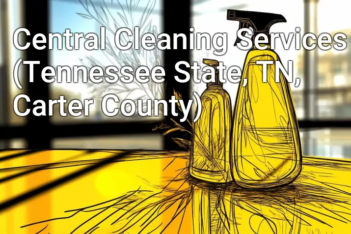 Central Cleaning Services (Tennessee State, TN, Carter County)