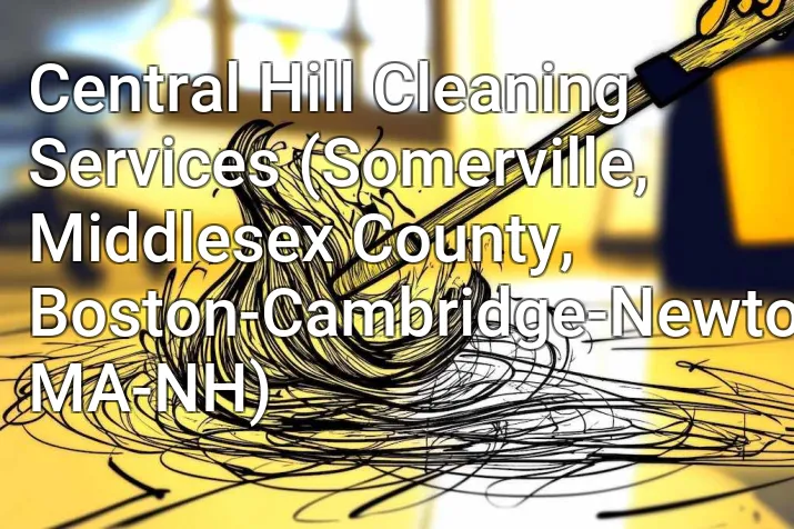 Central Hill Cleaning Services (Somerville, Middlesex County, Boston-Cambridge-Newton, MA-NH)