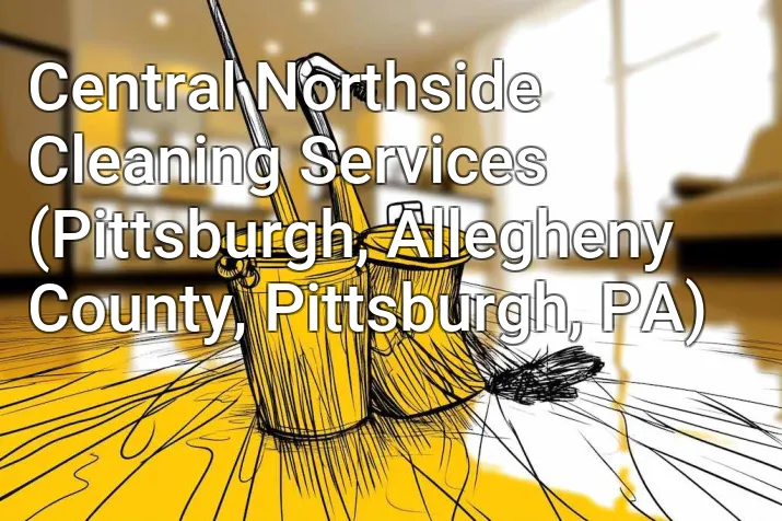 Central Northside Cleaning Services (Pittsburgh, Allegheny County, Pittsburgh, PA)