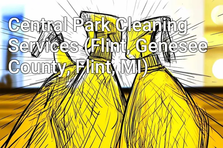 Central Park Cleaning Services (Flint, Genesee County, Flint, MI)