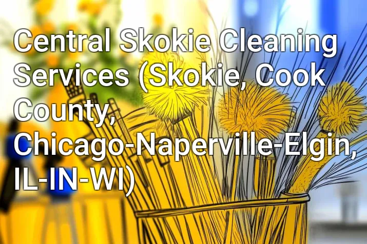 Central Skokie Cleaning Services (Skokie, Cook County, Chicago-Naperville-Elgin, IL-IN-WI)