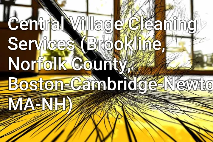 Central Village Cleaning Services (Brookline, Norfolk County, Boston-Cambridge-Newton, MA-NH)