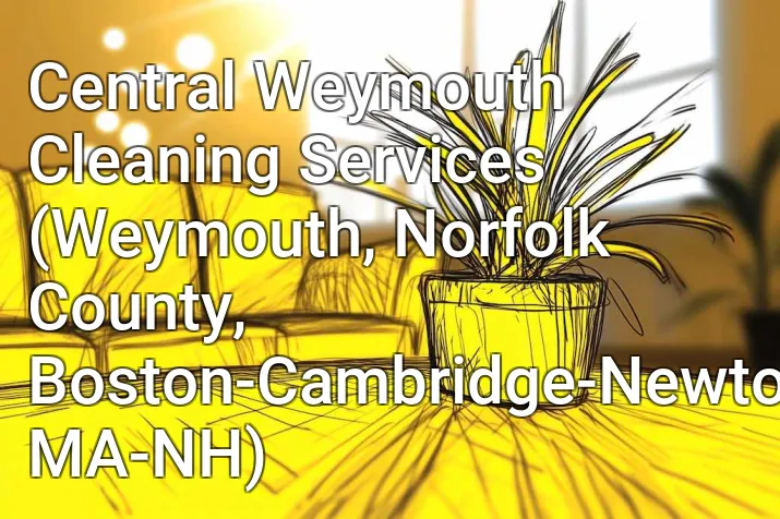 Central Weymouth Cleaning Services (Weymouth, Norfolk County, Boston-Cambridge-Newton, MA-NH)