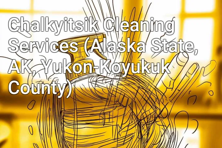 Chalkyitsik Cleaning Services (Alaska State, AK, Yukon-Koyukuk County)