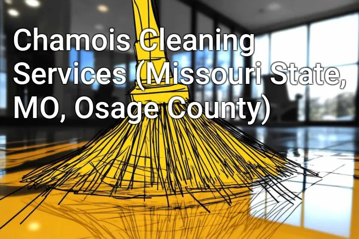 Chamois Cleaning Services (Missouri State, MO, Osage County)