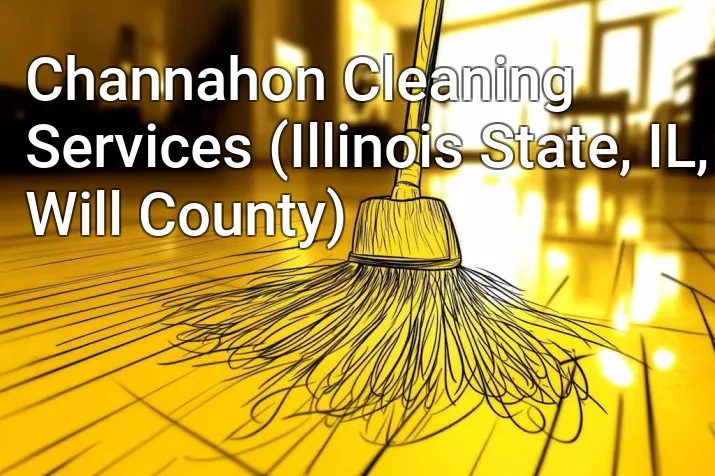 Channahon Cleaning Services (Illinois State, IL, Will County)