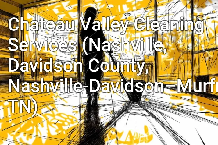 Chateau Valley Cleaning Services (Nashville, Davidson County, Nashville-Davidson–Murfreesboro–Franklin, TN)