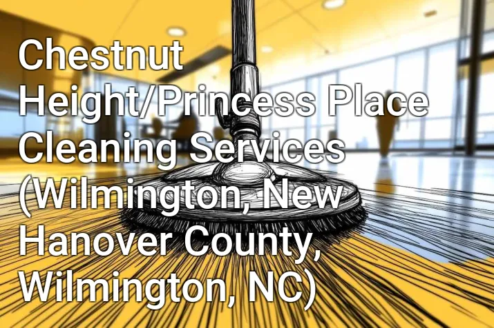 Chestnut Height/Princess Place Cleaning Services (Wilmington, New Hanover County, Wilmington, NC)