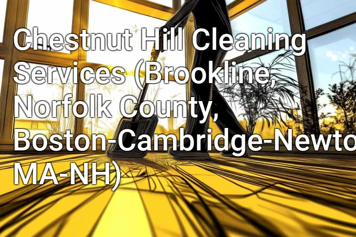 Chestnut Hill Cleaning Services (Brookline, Norfolk County, Boston-Cambridge-Newton, MA-NH)