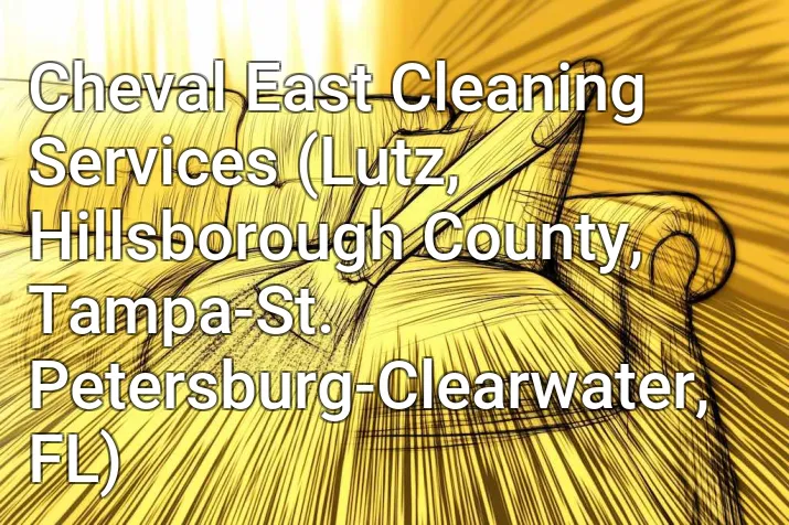 Cheval East Cleaning Services (Lutz, Hillsborough County, Tampa-St. Petersburg-Clearwater, FL)
