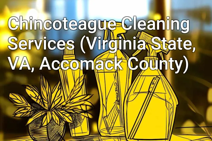 Chincoteague Cleaning Services (Virginia State, VA, Accomack County)