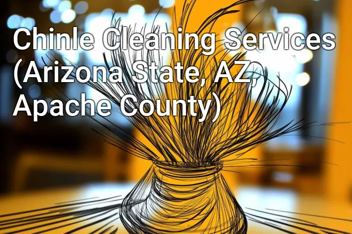Chinle Cleaning Services (Arizona State, AZ, Apache County)