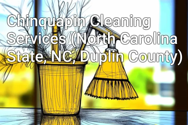 Chinquapin Cleaning Services (North Carolina State, NC, Duplin County)