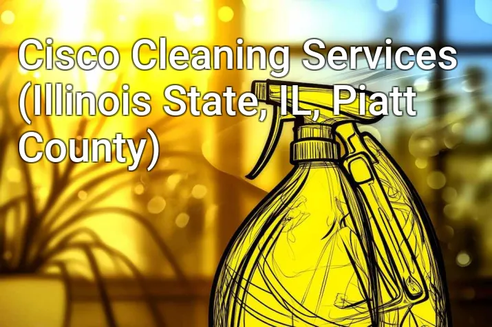 Cisco Cleaning Services (Illinois State, IL, Piatt County)