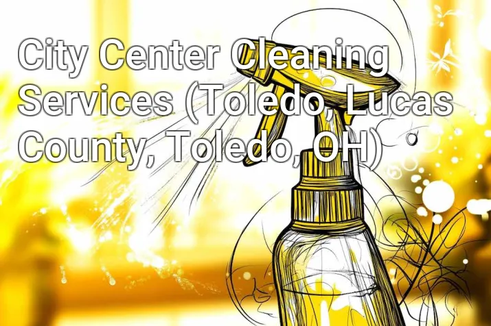 City Center Cleaning Services (Toledo, Lucas County, Toledo, OH)