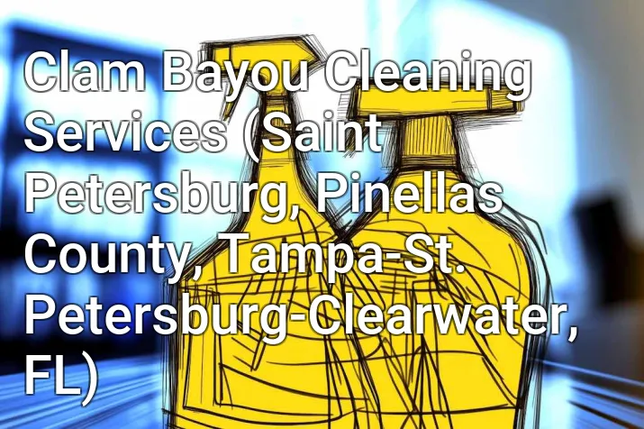 Clam Bayou Cleaning Services (Saint Petersburg, Pinellas County, Tampa-St. Petersburg-Clearwater, FL)