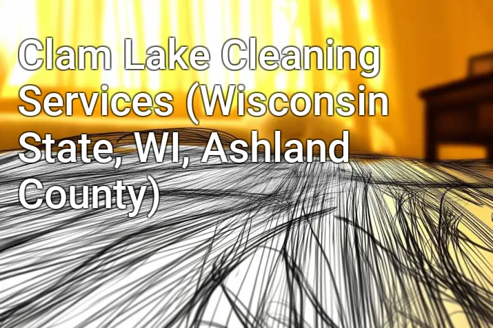 Clam Lake Cleaning Services (Wisconsin State, WI, Ashland County)
