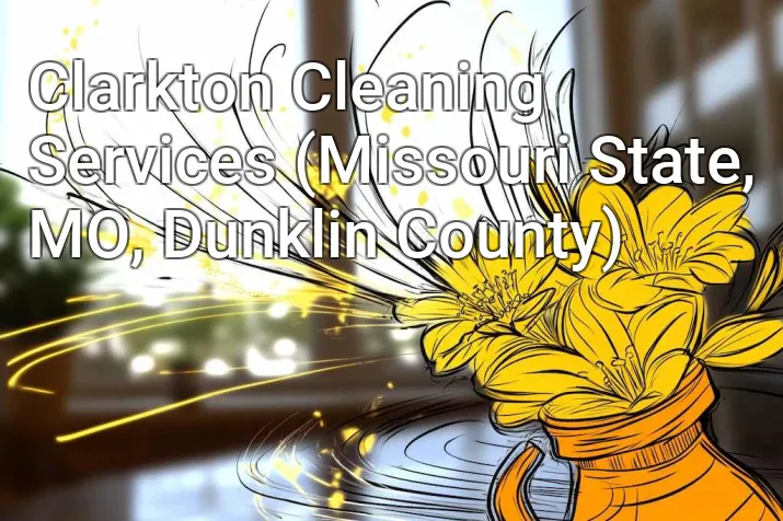 Clarkton Cleaning Services (Missouri State, MO, Dunklin County)