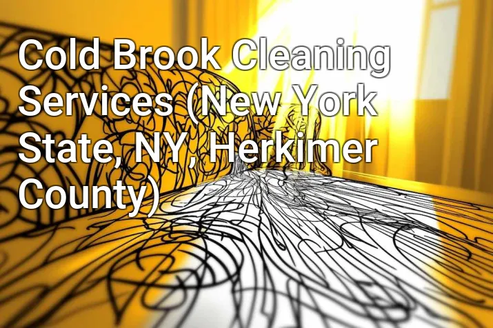 Cold Brook Cleaning Services (New York State, NY, Herkimer County)