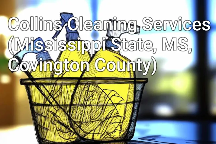 Collins Cleaning Services (Mississippi State, MS, Covington County)