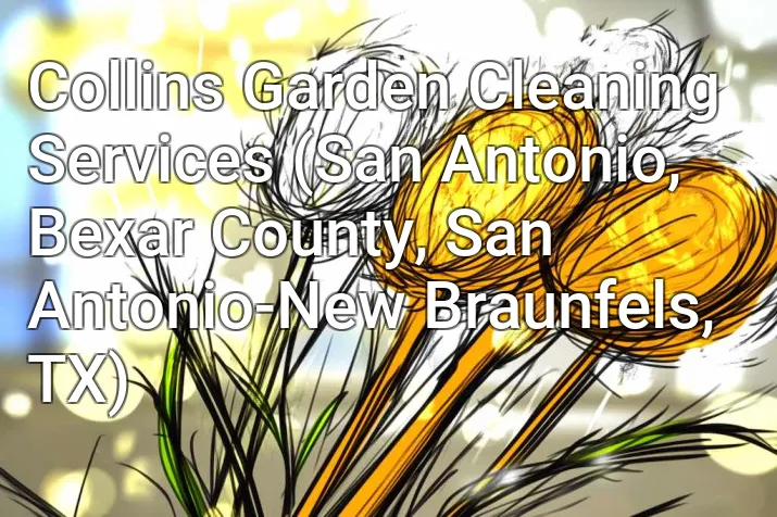 Collins Garden Cleaning Services (San Antonio, Bexar County, San Antonio-New Braunfels, TX)