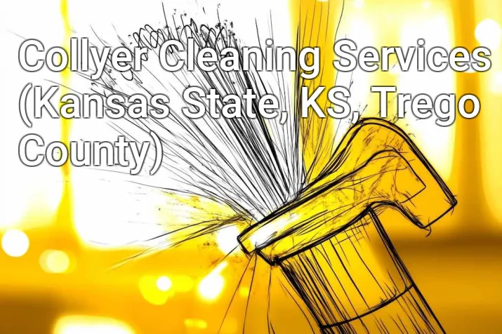 Collyer Cleaning Services (Kansas State, KS, Trego County)