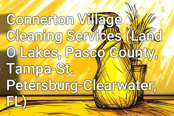Connerton Village Cleaning Services (Land O Lakes, Pasco County, Tampa-St. Petersburg-Clearwater, FL)