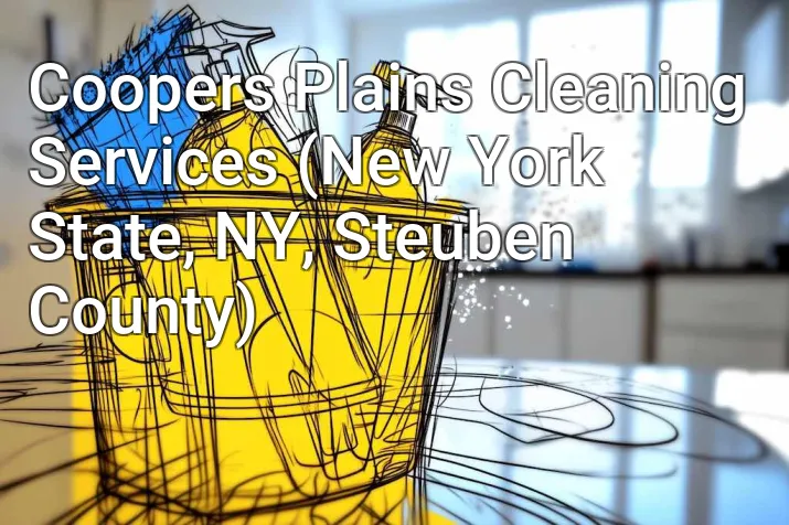 Coopers Plains Cleaning Services (New York State, NY, Steuben County)