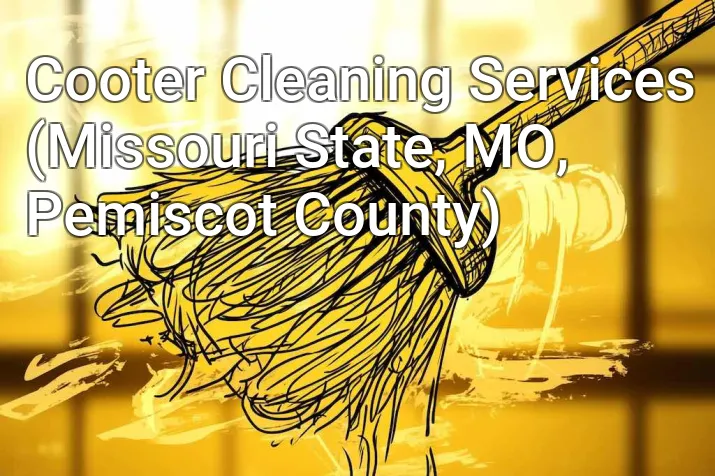 Cooter Cleaning Services (Missouri State, MO, Pemiscot County)