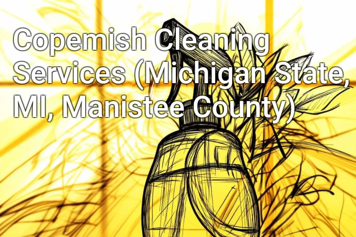 Copemish Cleaning Services (Michigan State, MI, Manistee County)