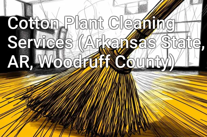 Cotton Plant Cleaning Services (Arkansas State, AR, Woodruff County)