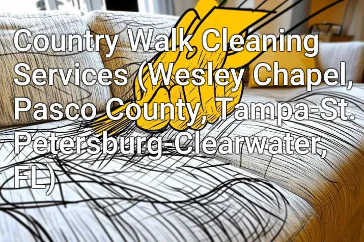 Country Walk Cleaning Services (Wesley Chapel, Pasco County, Tampa-St. Petersburg-Clearwater, FL)