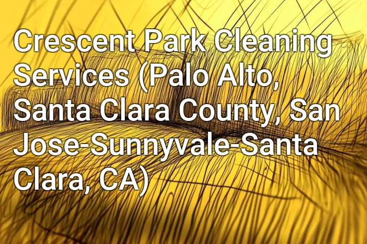 Crescent Park Cleaning Services (Palo Alto, Santa Clara County, San Jose-Sunnyvale-Santa Clara, CA)