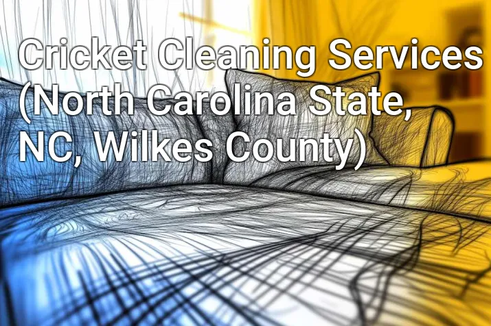 Cricket Cleaning Services (North Carolina State, NC, Wilkes County)