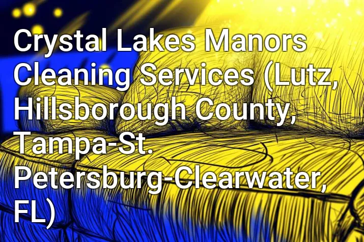 Crystal Lakes Manors Cleaning Services (Lutz, Hillsborough County, Tampa-St. Petersburg-Clearwater, FL)