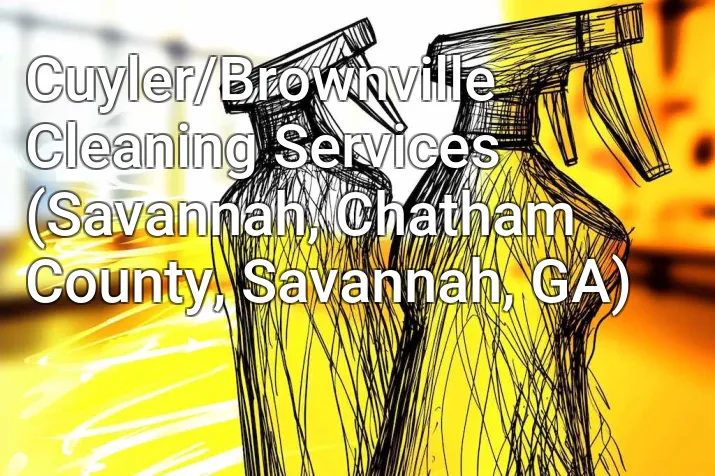 Cuyler/Brownville Cleaning Services (Savannah, Chatham County, Savannah, GA)