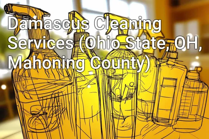 Damascus Cleaning Services (Ohio State, OH, Mahoning County)