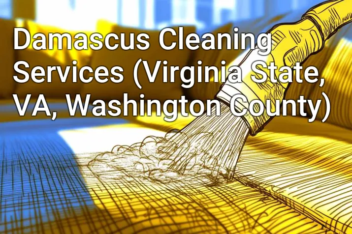 Damascus Cleaning Services (Virginia State, VA, Washington County)